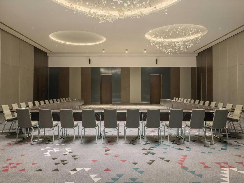 Sheraton Grand Tbilisi Metechi Palace - Toplantı