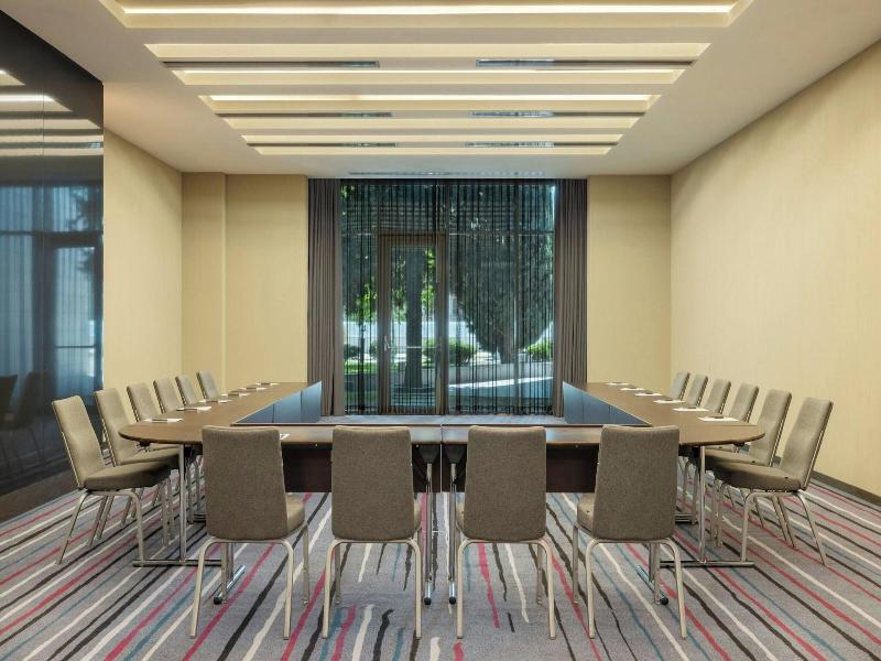 Sheraton Grand Tbilisi Metechi Palace - Toplantı