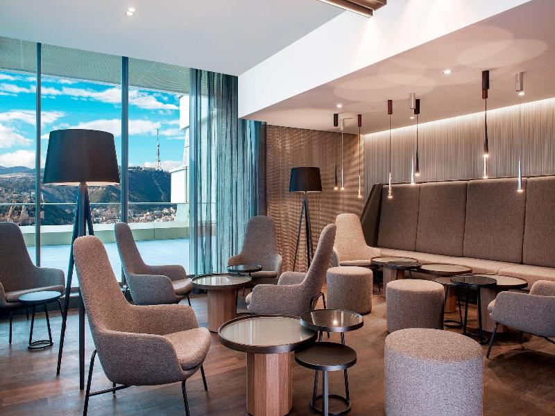 Sheraton Grand Tbilisi Metechi Palace - Toplantı