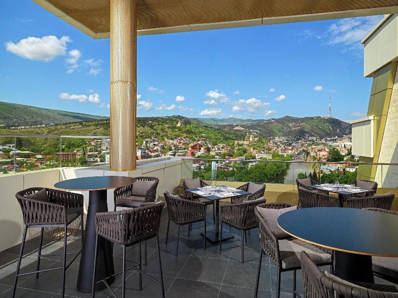 Sheraton Grand Tbilisi Metechi Palace - Toplantı