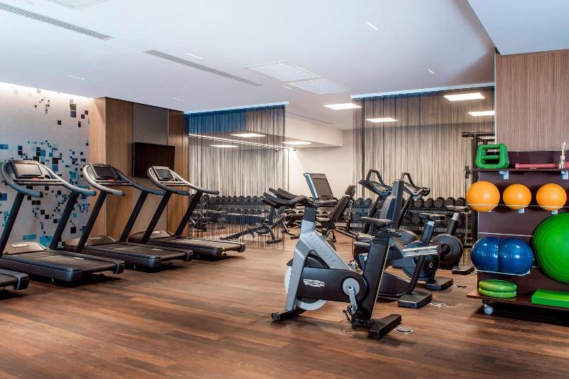 Sheraton Grand Tbilisi Metechi Palace - Aktivite