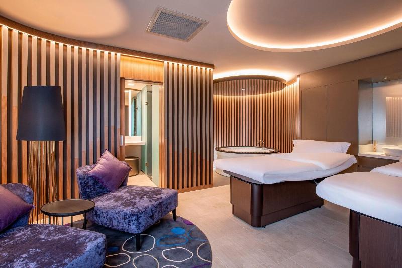 Sheraton Grand Tbilisi Metechi Palace - Aktivite