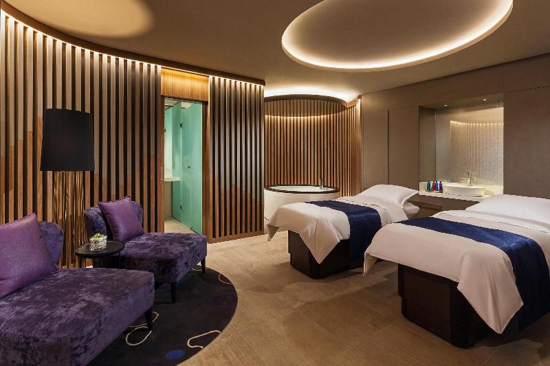 Sheraton Grand Tbilisi Metechi Palace - Aktivite