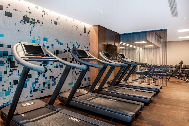 Sheraton Grand Tbilisi Metechi Palace - Aktivite