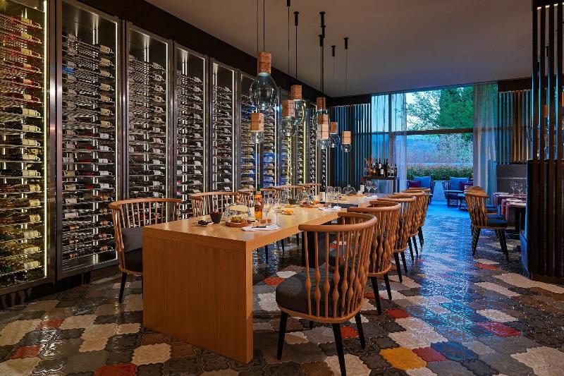 Sheraton Grand Tbilisi Metechi Palace - Aktivite