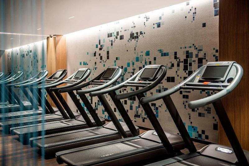 Sheraton Grand Tbilisi Metechi Palace - Aktivite
