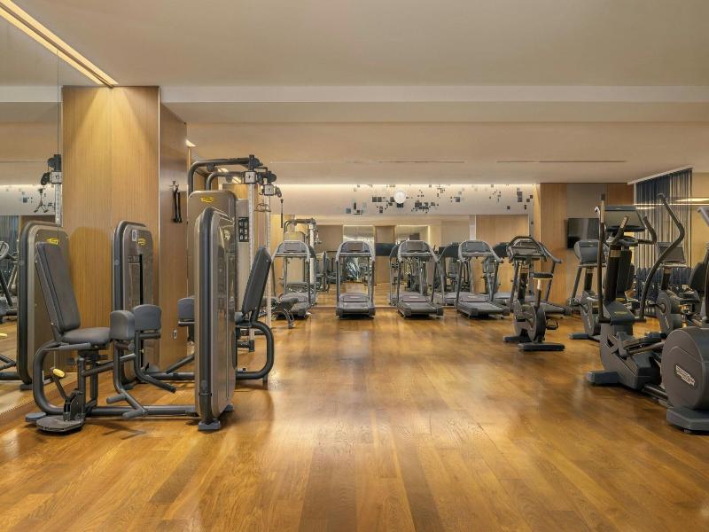 Sheraton Grand Tbilisi Metechi Palace - Genel