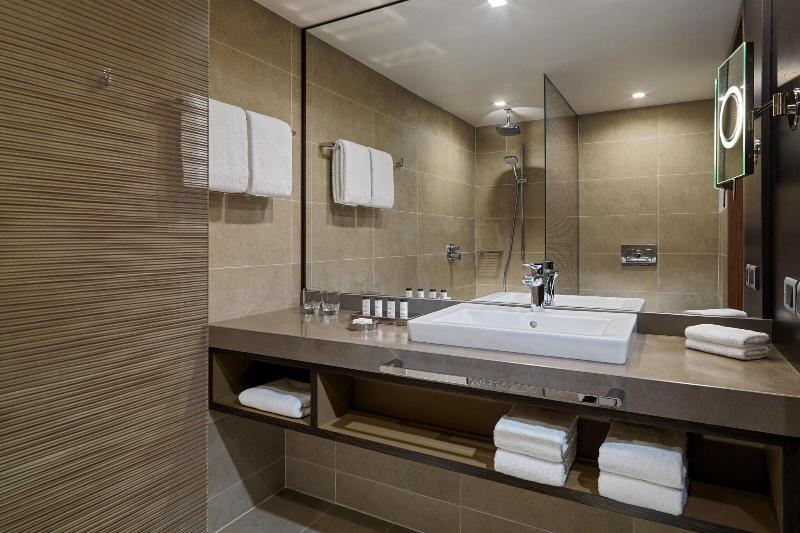 Sheraton Grand Tbilisi Metechi Palace - Oda