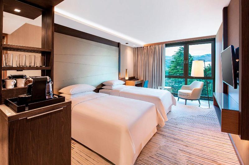 Sheraton Grand Tbilisi Metechi Palace - Oda