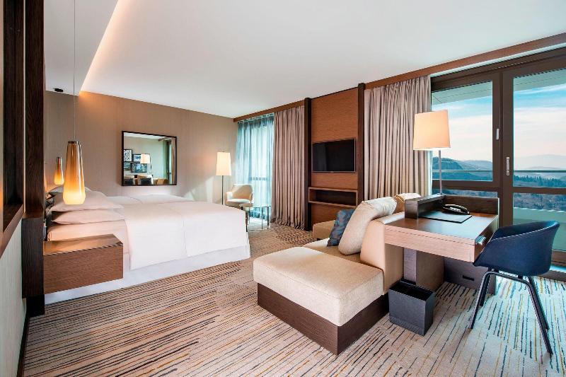 Sheraton Grand Tbilisi Metechi Palace - Oda