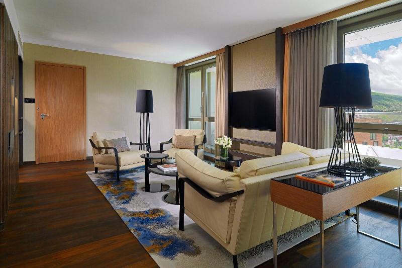 Sheraton Grand Tbilisi Metechi Palace - Oda