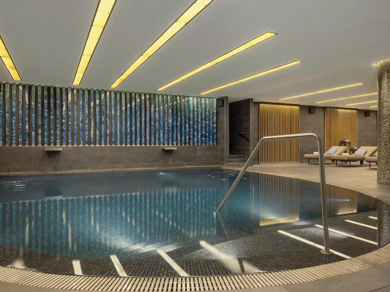 Sheraton Grand Tbilisi Metechi Palace - Havuz