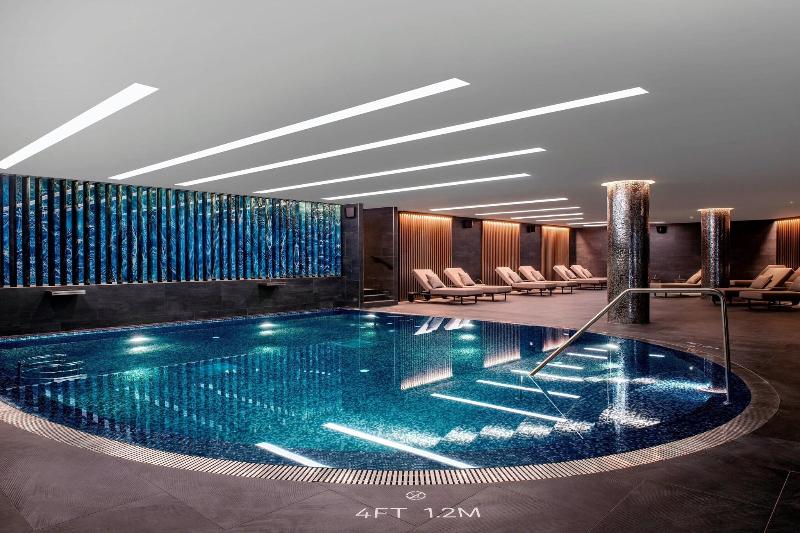 Sheraton Grand Tbilisi Metechi Palace - Havuz