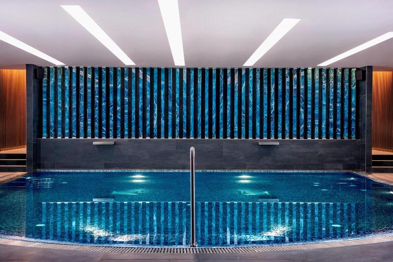 Sheraton Grand Tbilisi Metechi Palace - Havuz