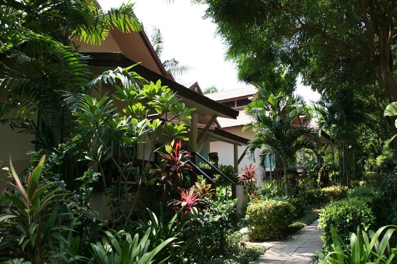 Palita Lodge Koh Phangan - Genel