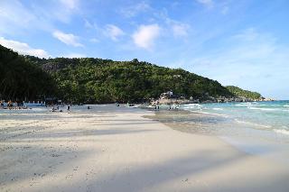 Palita Lodge Koh Phangan fotoÄŸrafÄ±