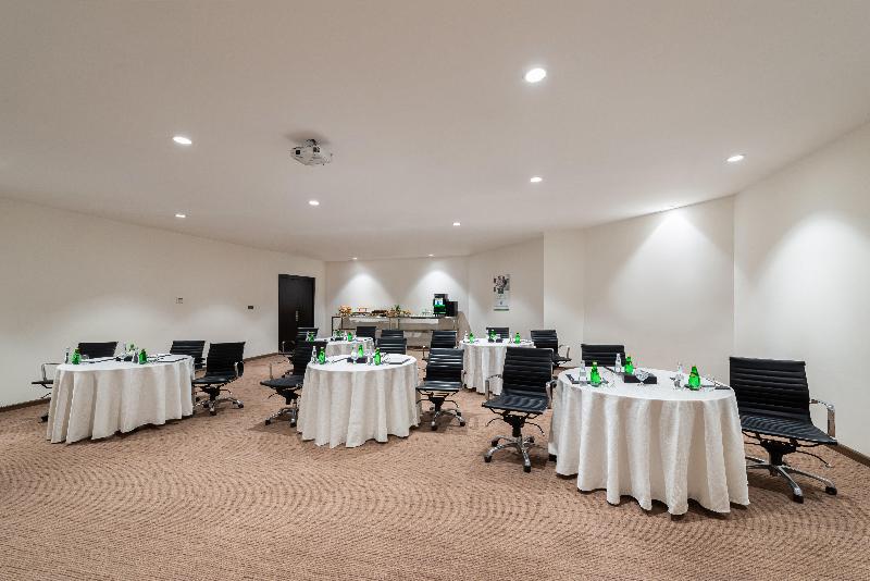 Holiday Inn Al Qasr - Toplantı
