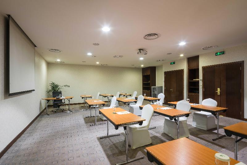 Holiday Inn Al Qasr - Toplantı