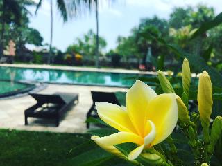Puri Saron Hotel Senggigi fotoÄŸrafÄ±