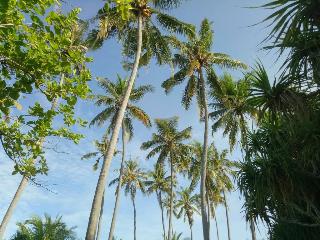 Puri Saron Hotel Senggigi fotoÄŸrafÄ±