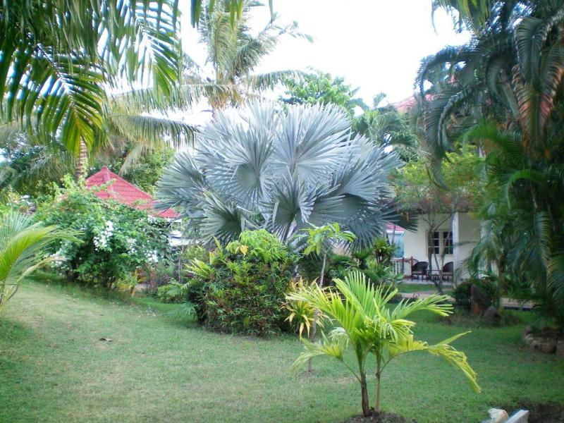Patong Palace Hotel - Genel