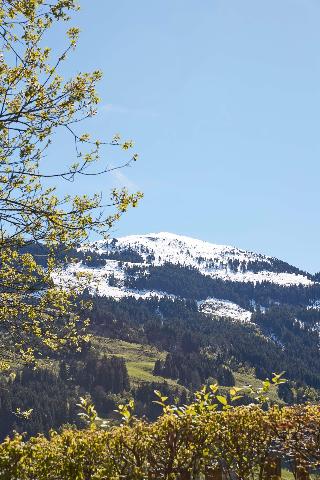 Kempinski Hotel Das Tirol fotoÄŸrafÄ±
