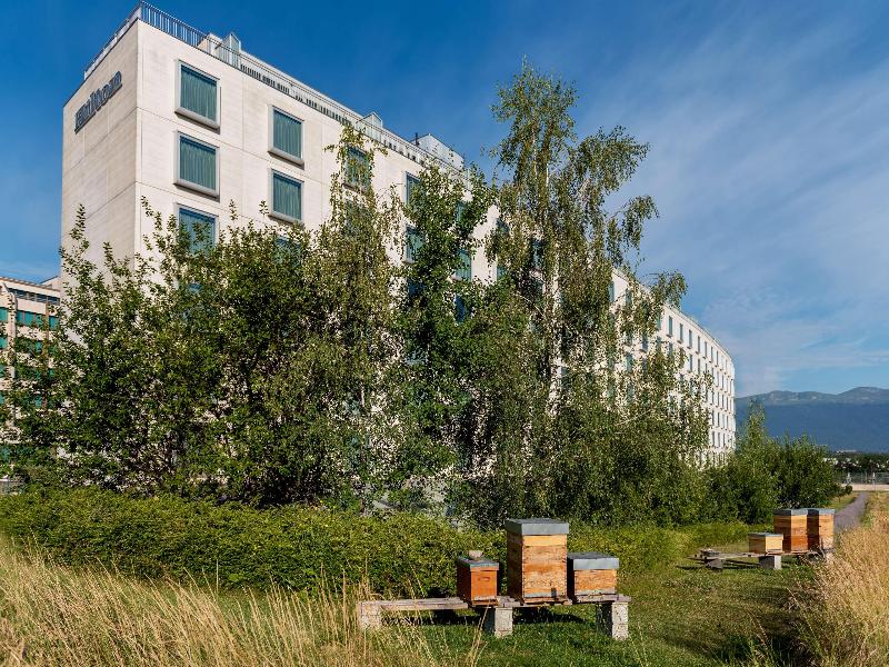 Hilton Geneva Hotel & Conference Centre - Aktivite