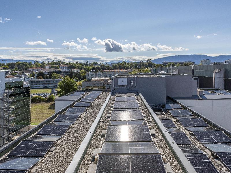 Hilton Geneva Hotel & Conference Centre - Genel