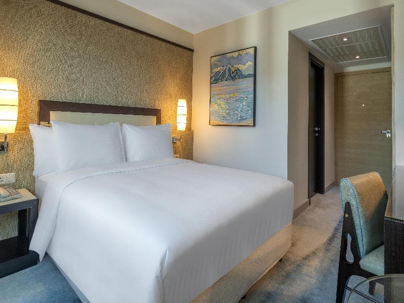 Hilton Geneva Hotel & Conference Centre - Oda