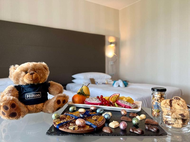 Hilton Geneva Hotel & Conference Centre - Oda