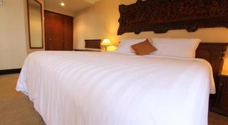 Regent's Park Hotel fotoÄŸrafÄ±