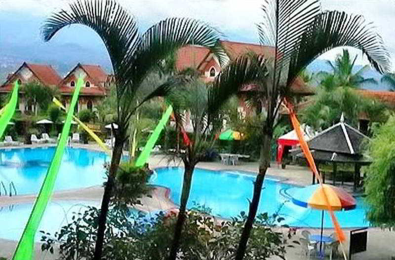 Royal Orchid Garden fotoÄŸrafÄ±