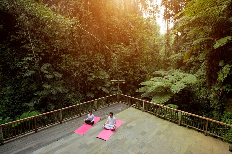 Alam Ubud Culture Villas & Residences - Aktivite