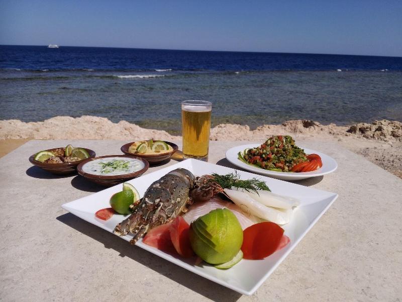 Sheraton Sharm Resort - Toplantı