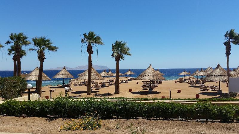 Sheraton Sharm Resort - Oda