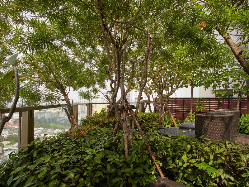 Jasmine Resort - Teras