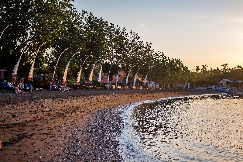 Adi Assri Beach Resort & Spa Pemuteran - Plaj