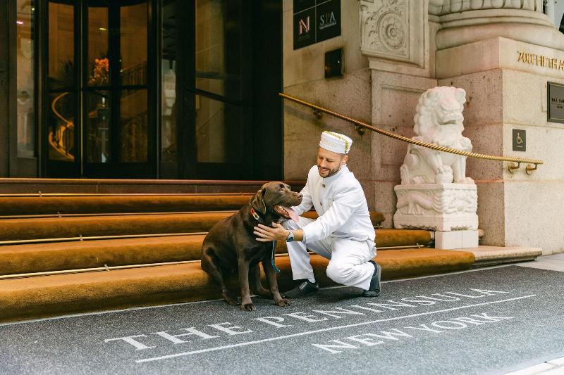 The Peninsula New York - Genel