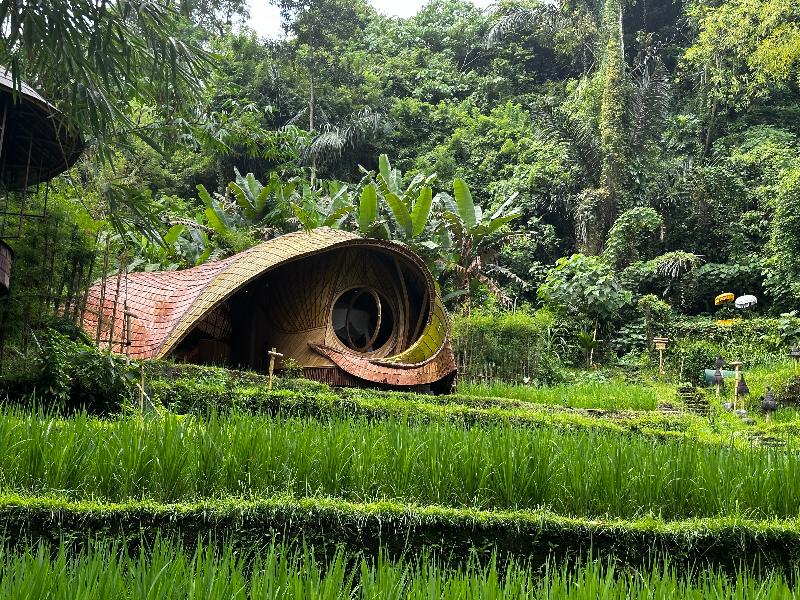 Bambu Indah Resort - Oda