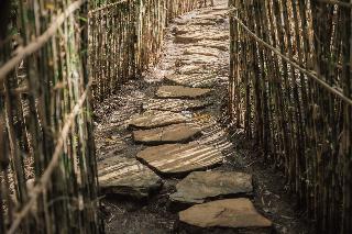 Bambu Indah Resort fotoÄŸrafÄ±
