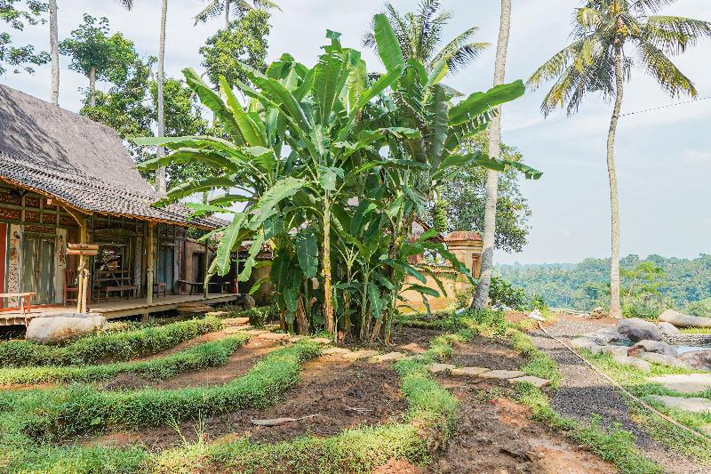 Bambu Indah Resort - Oda