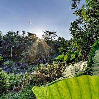 Bambu Indah Resort fotoÄŸrafÄ±