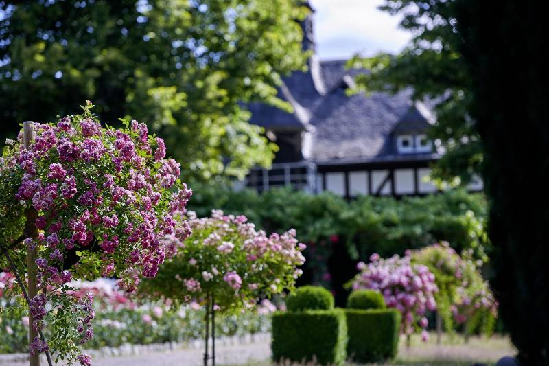 Schlosshotel Kronberg - Aktivite