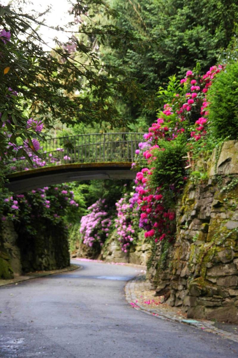 Schlosshotel Kronberg - Genel