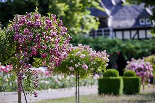 Schlosshotel Kronberg fotoÄŸrafÄ±