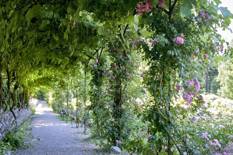 Schlosshotel Kronberg - Teras