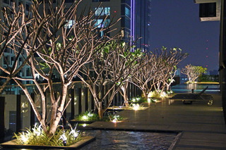 Hansar Bangkok fotoÄŸrafÄ±