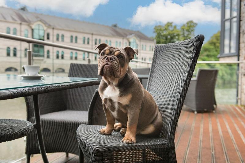 Riverside Hotel Kendal - Genel