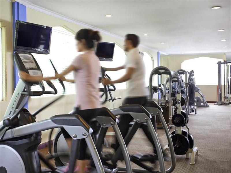 Ibis Styles Solo - Aktivite