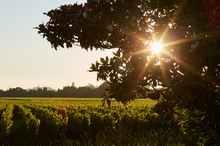 Chateau Grand Barrail